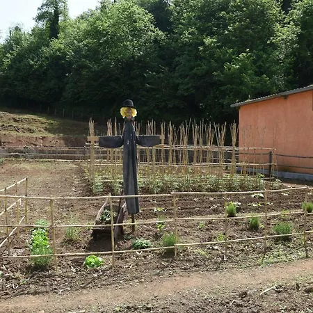 Farm stay Agriturismo Casale Pepe *